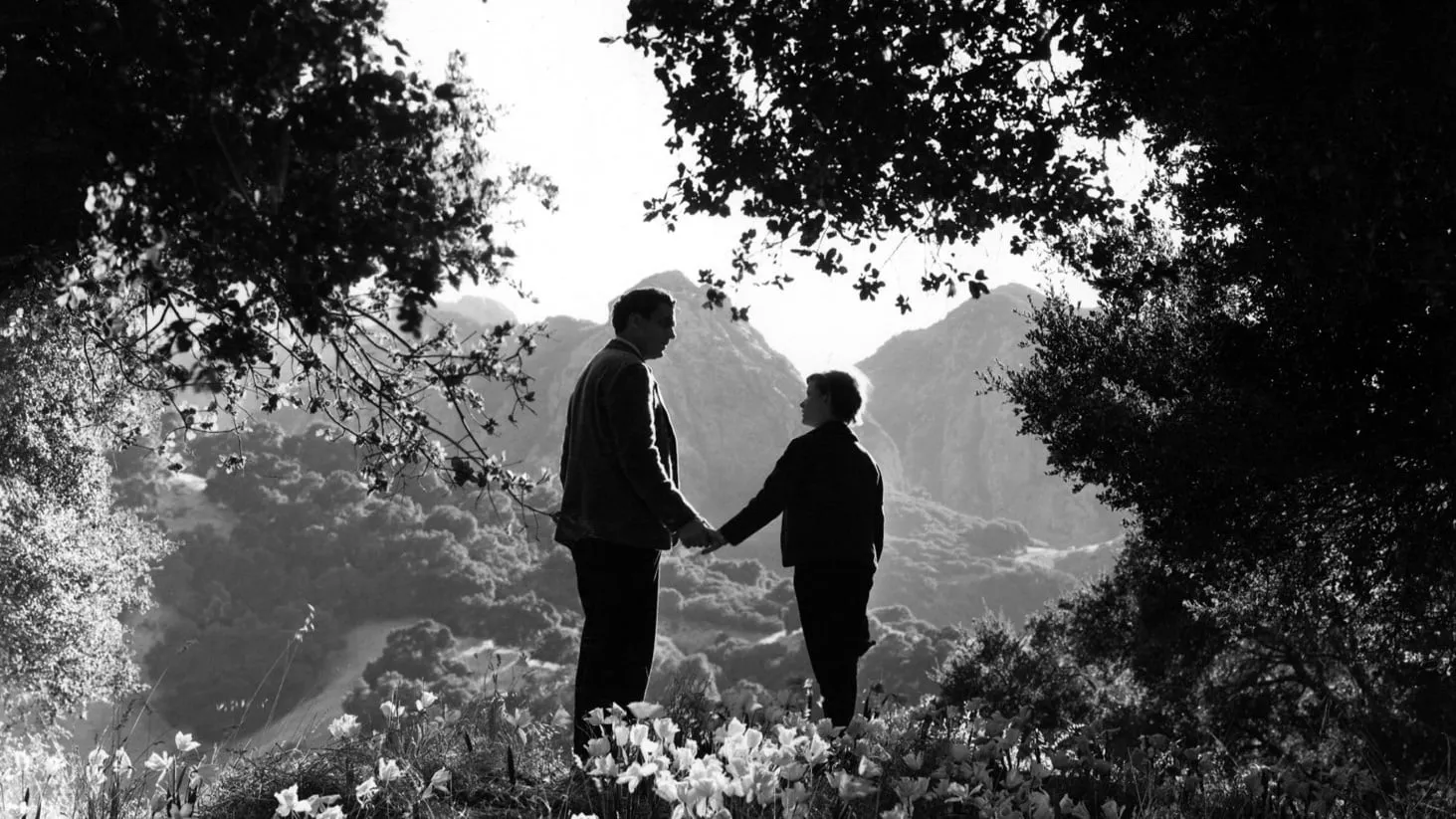 Com'era verde la mia valle streaming ita