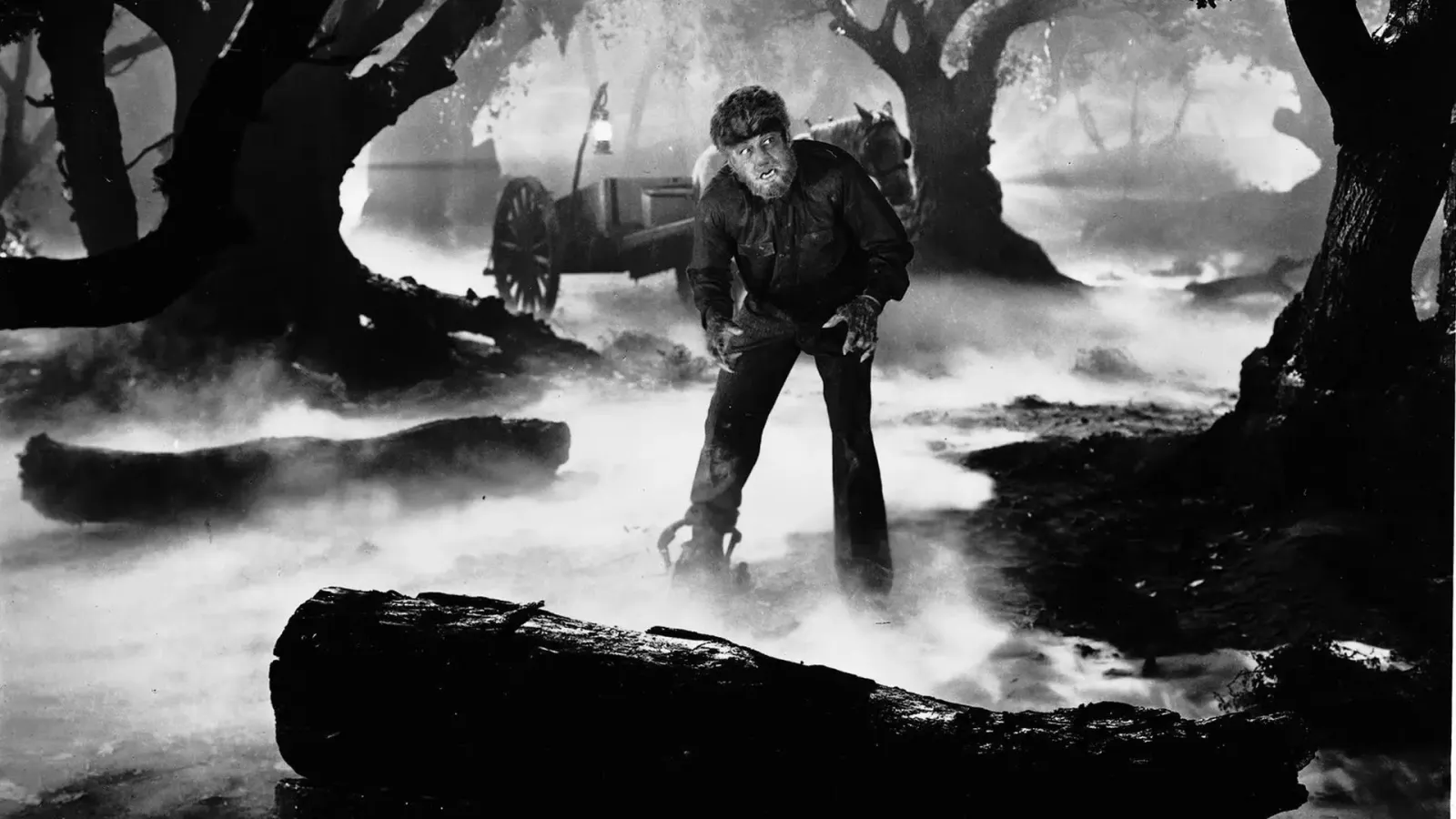 L'uomo lupo streaming ita