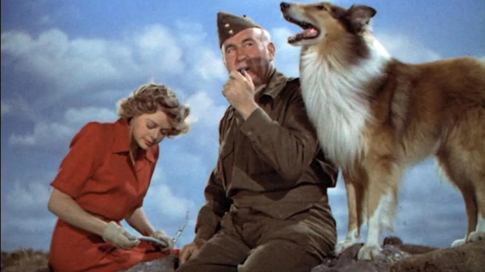 Il figlio di Lassie streaming ita