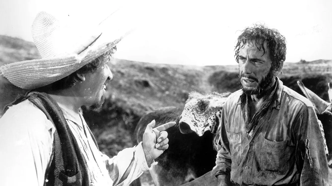 Il tesoro della Sierra Madre streaming ita