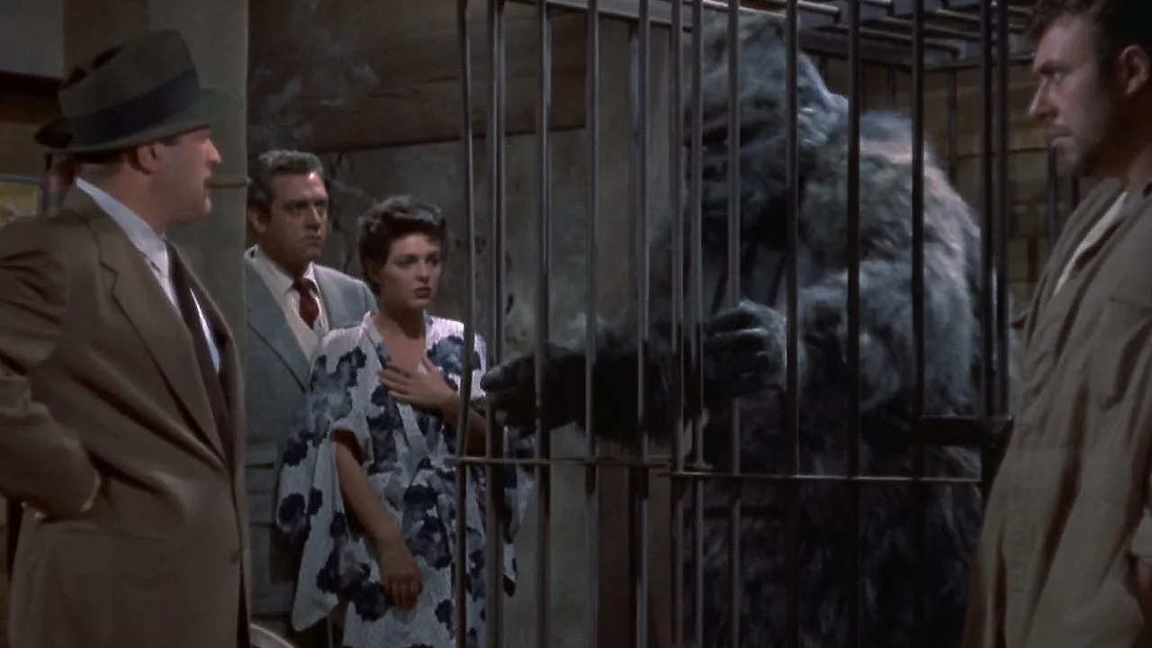 Gorilla in fuga streaming ita