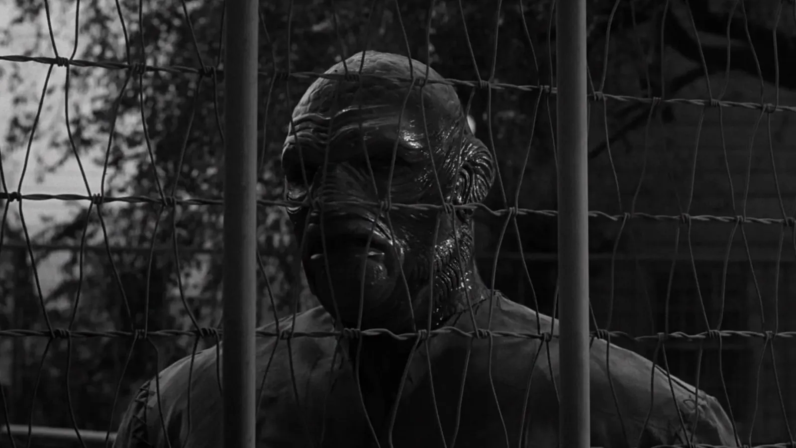 Il terrore sul mondo [B/N] streaming ita