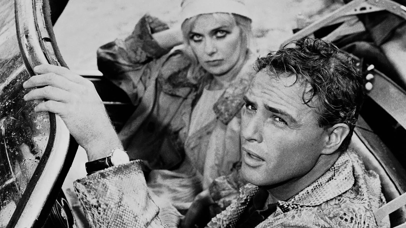 Pelle di serpente streaming ita
