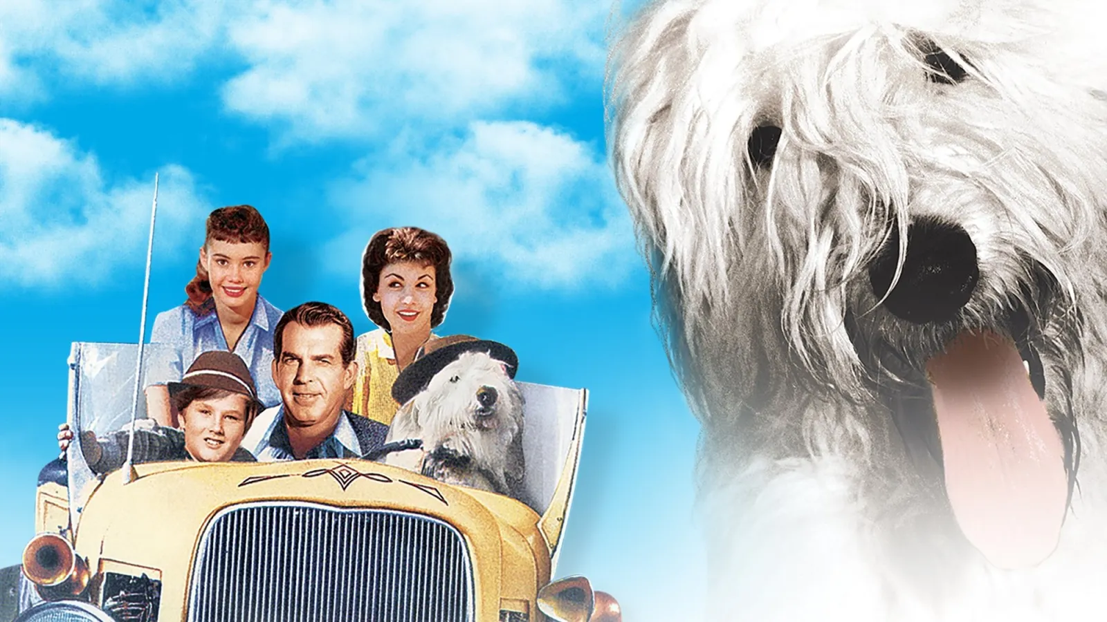 Geremia, cane e spia streaming ita