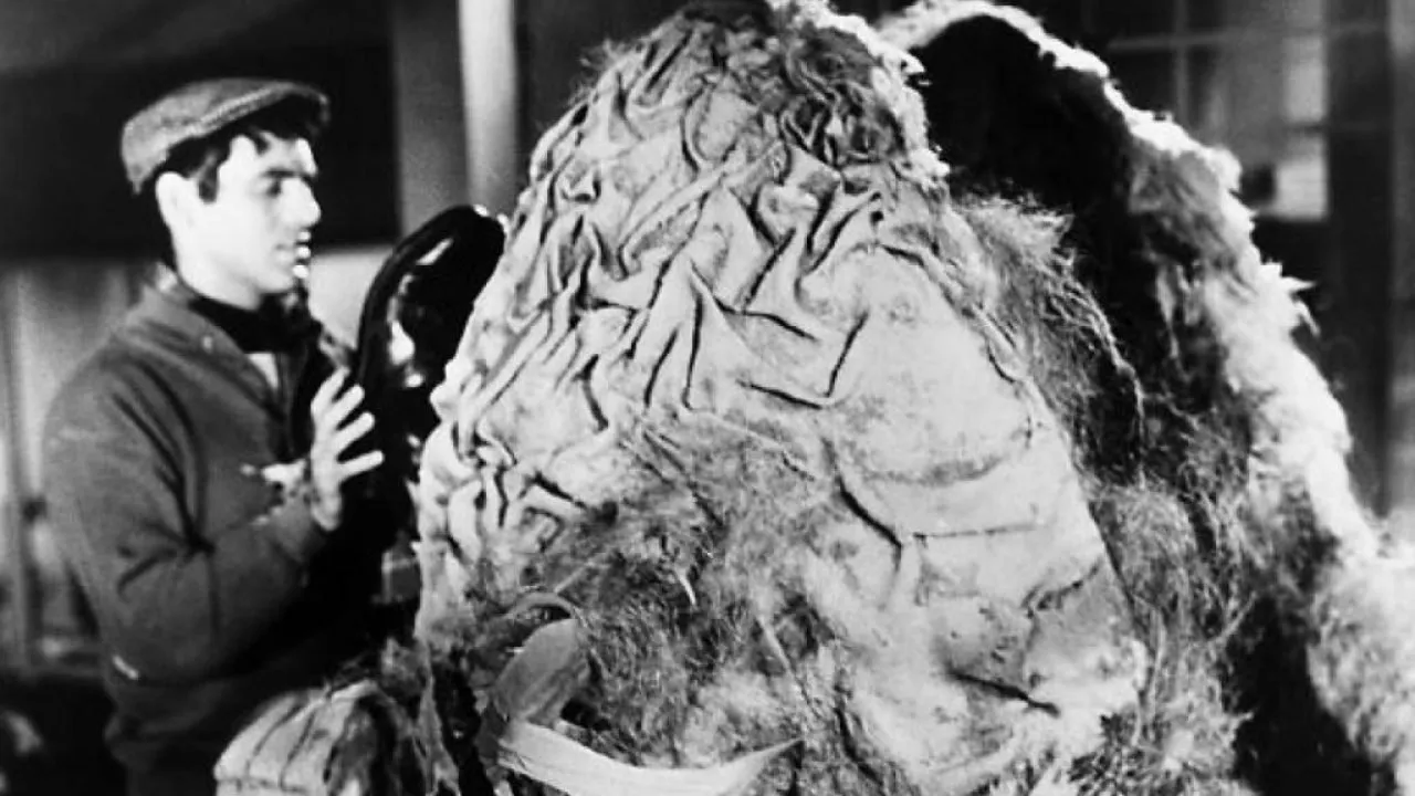 La piccola bottega degli orrori streaming ita