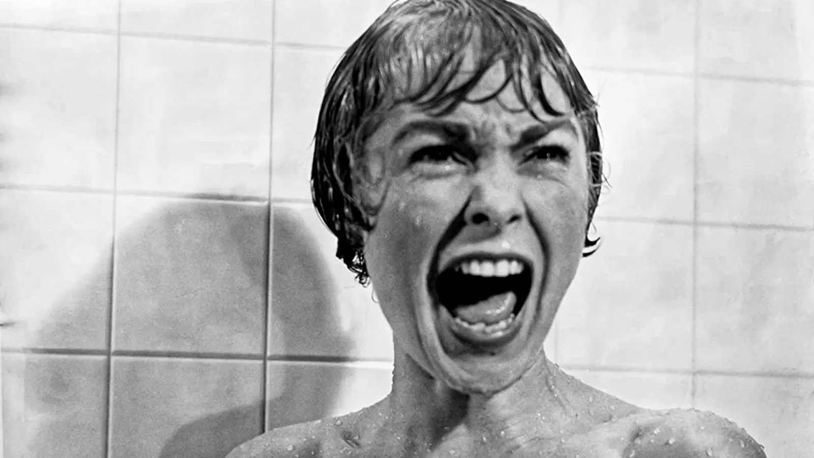 Psycho - Psyco streaming ita