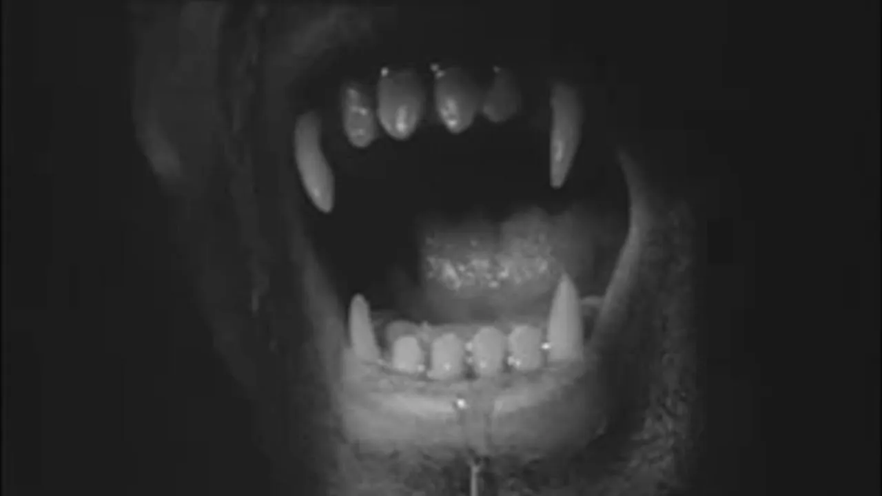 Lycanthropus streaming ita