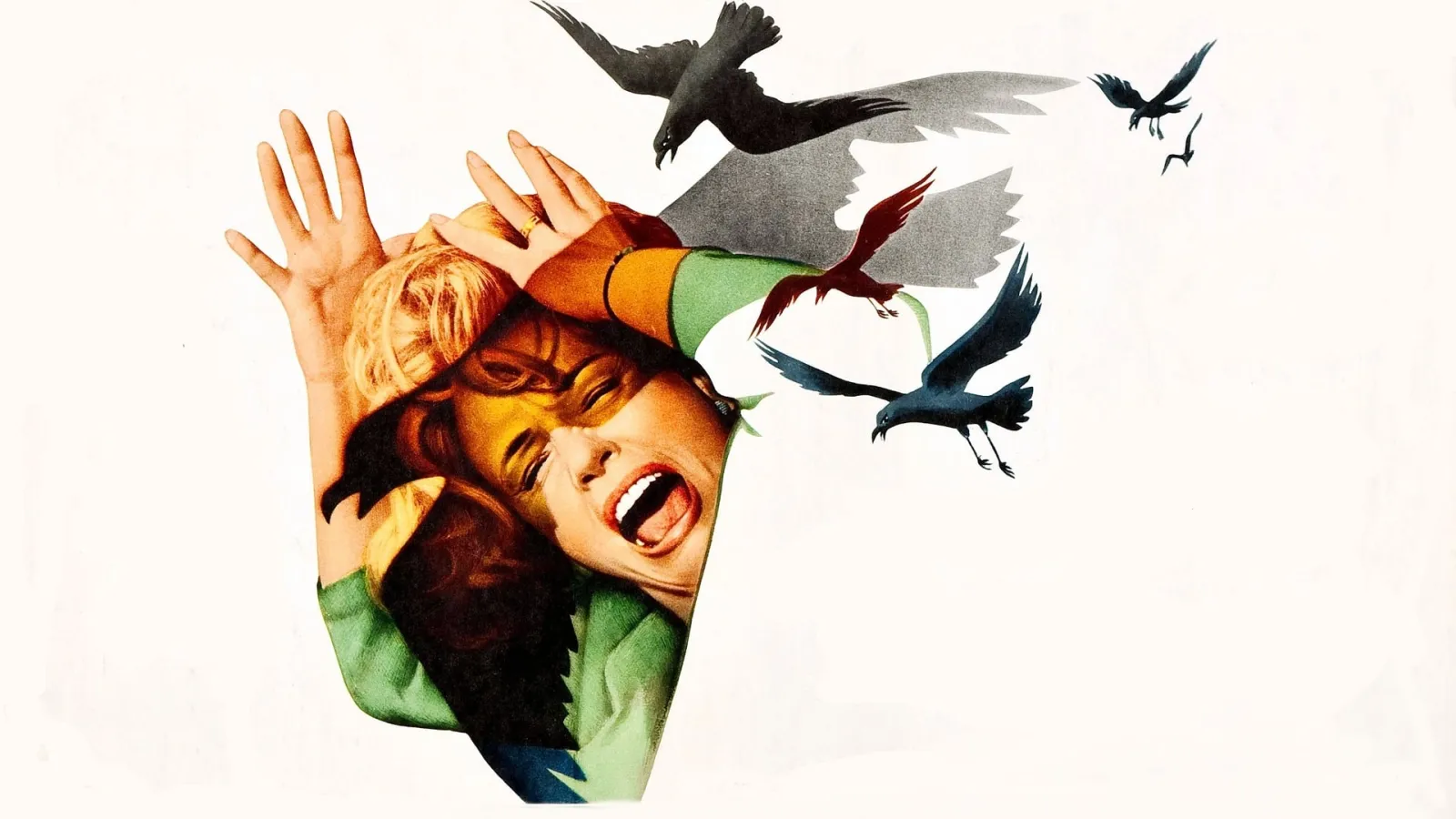 Gli uccelli streaming ita