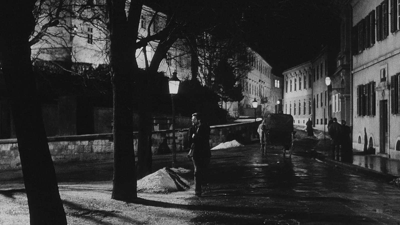 I compagni [B/N] streaming ita
