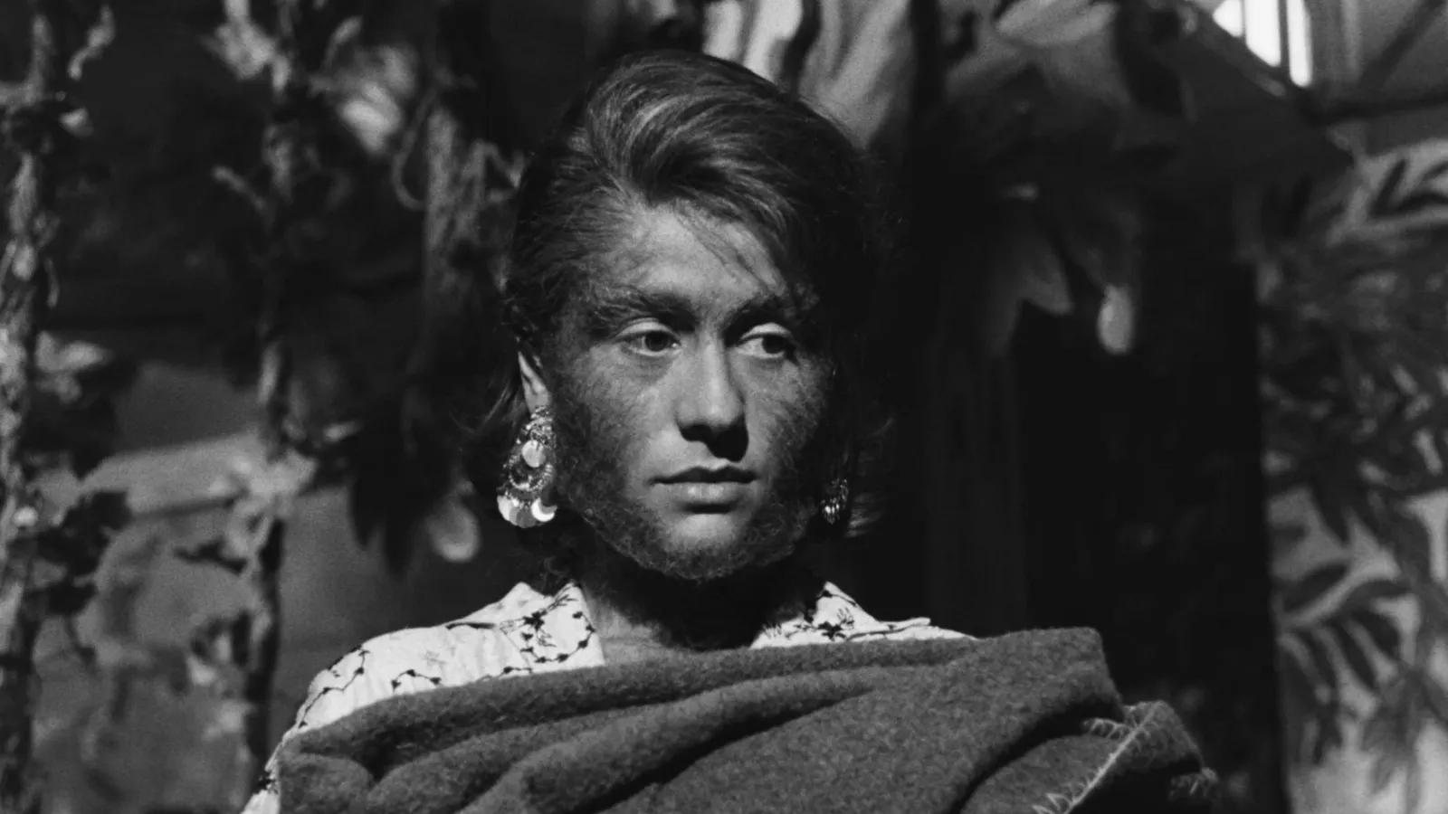 La donna scimmia streaming ita