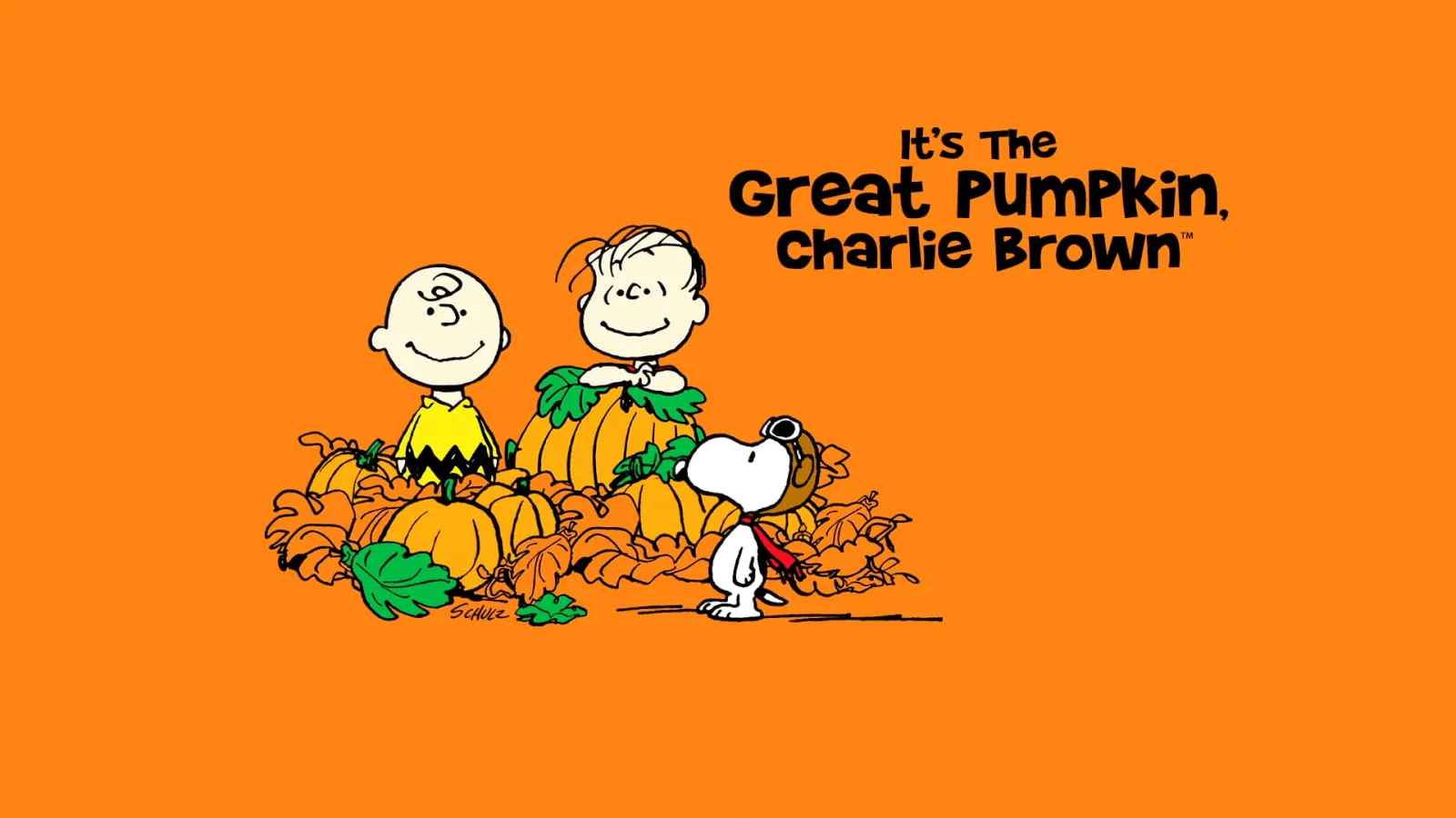 Siamo tutti campioni, Charlie Brown! streaming ita