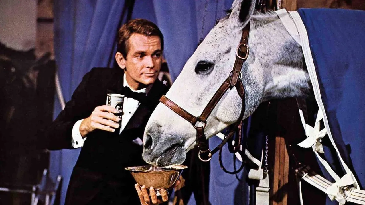 Il cavallo in doppiopetto streaming ita