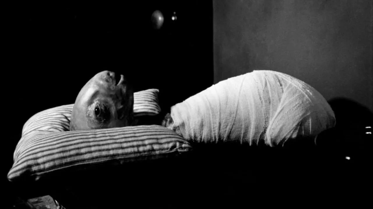 Eraserhead - La mente che cancella streaming ita