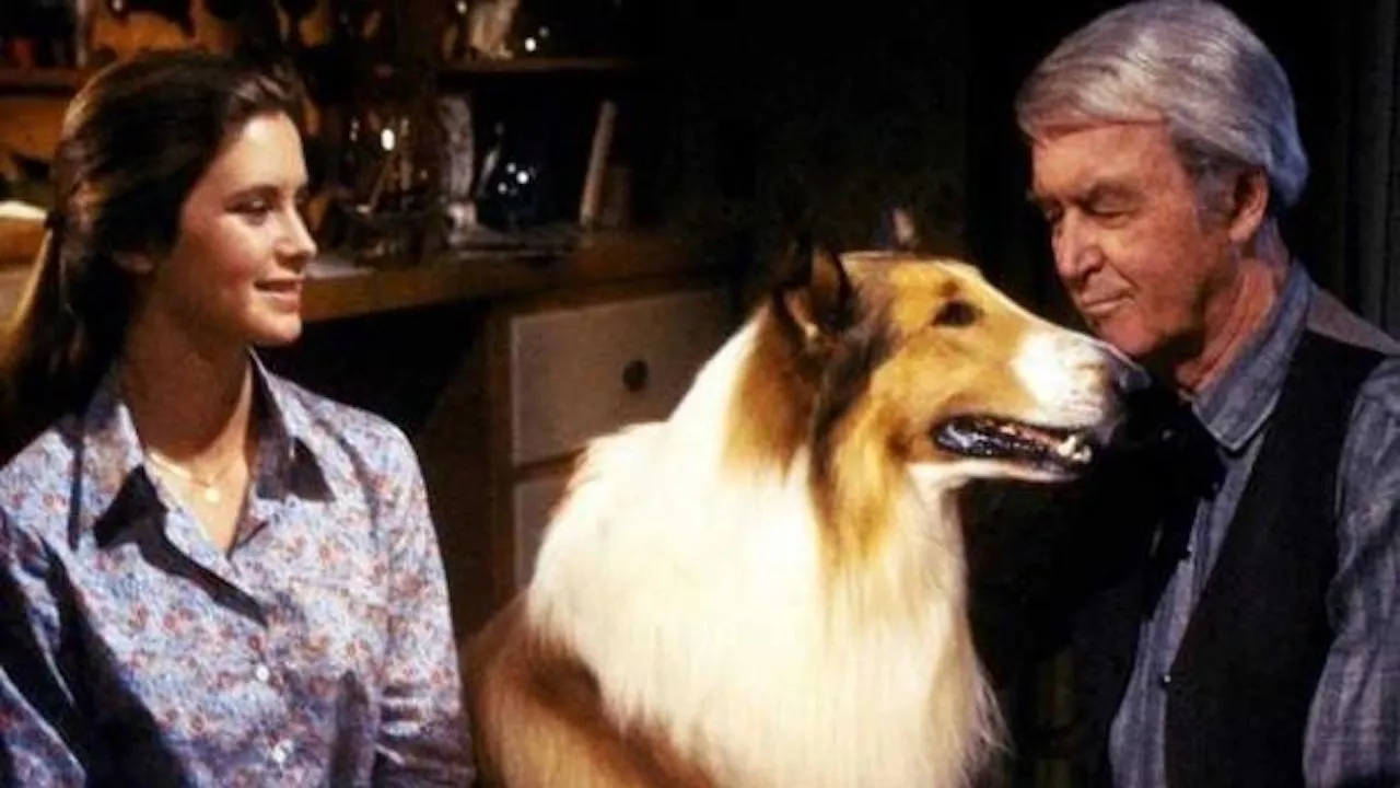 La più bella avventura di Lassie streaming ita