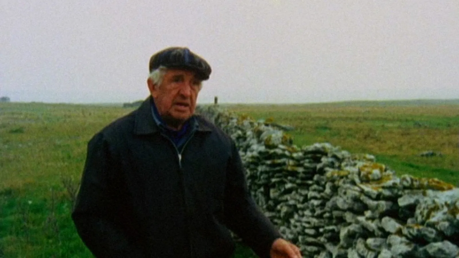 Fårö Document 1979 streaming ita