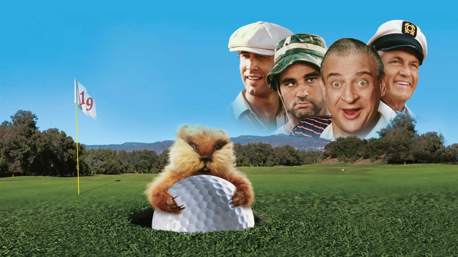Palla da golf streaming ita