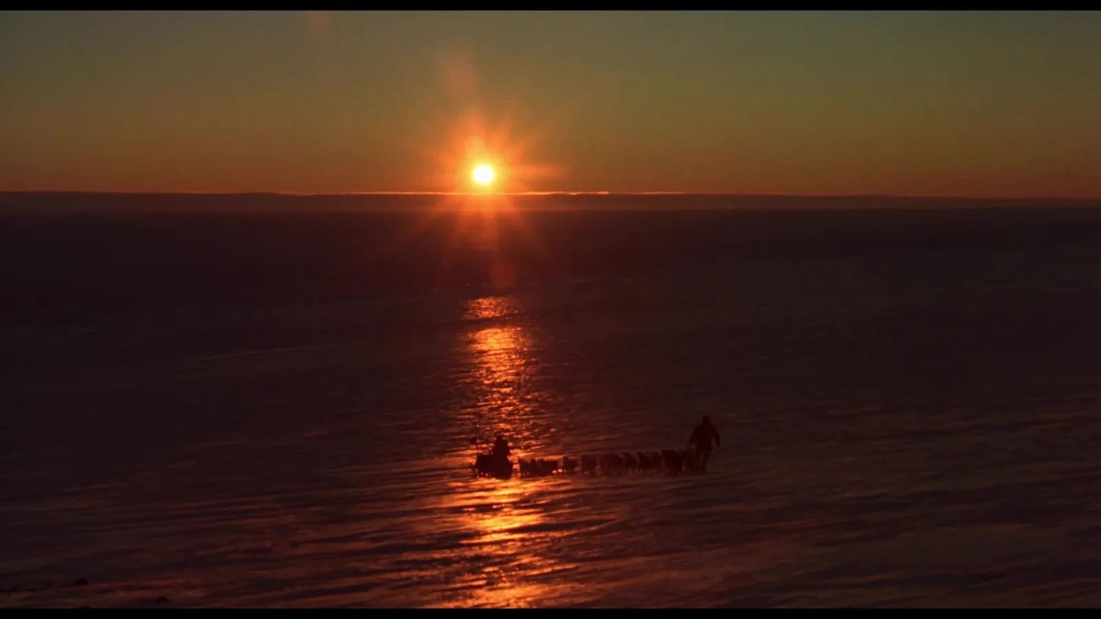 Antarctica streaming ita