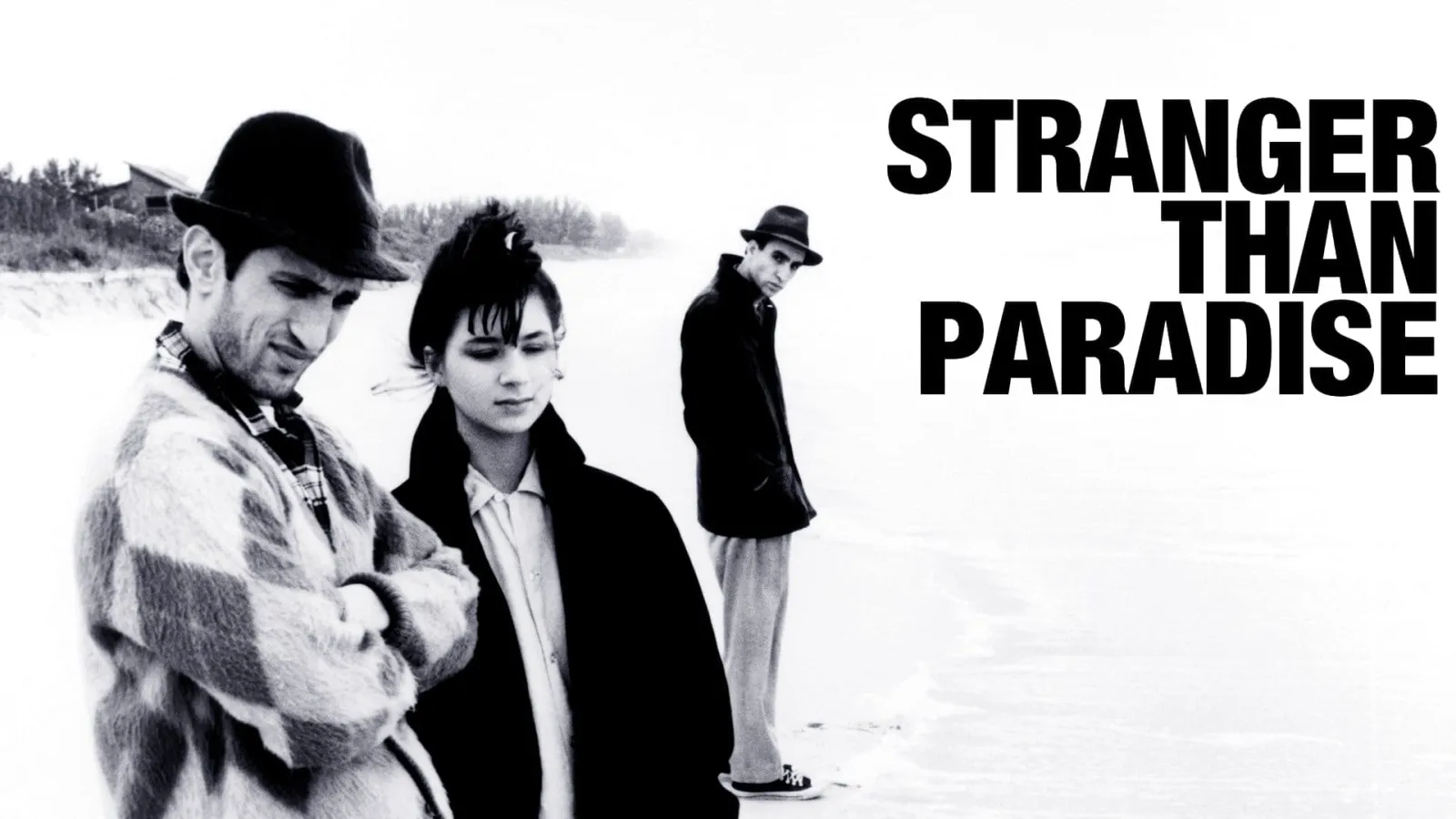 Stranger Than Paradise streaming ita