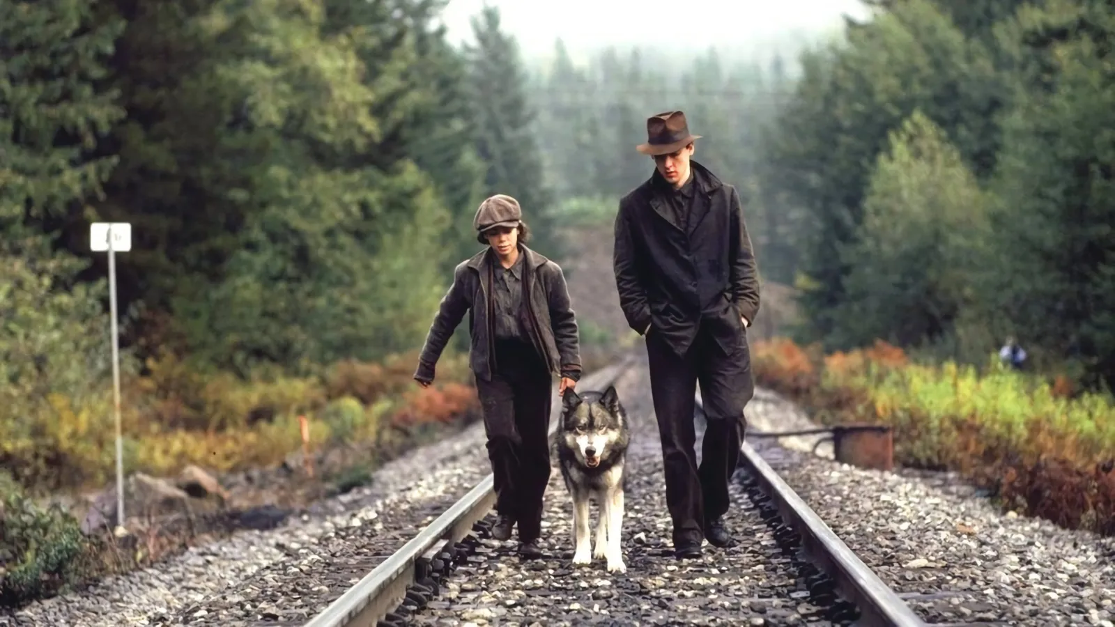 Il viaggio di Natty Gann streaming ita