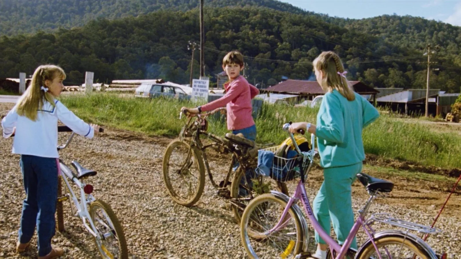 Il mistero del lago scuro streaming ita