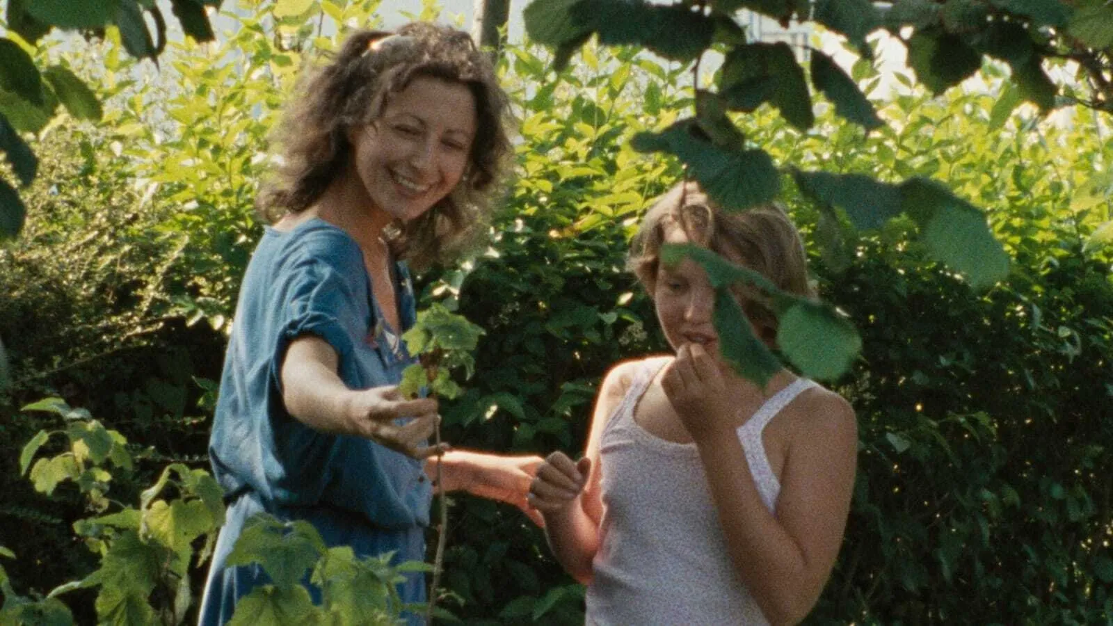 Il raggio verde streaming ita