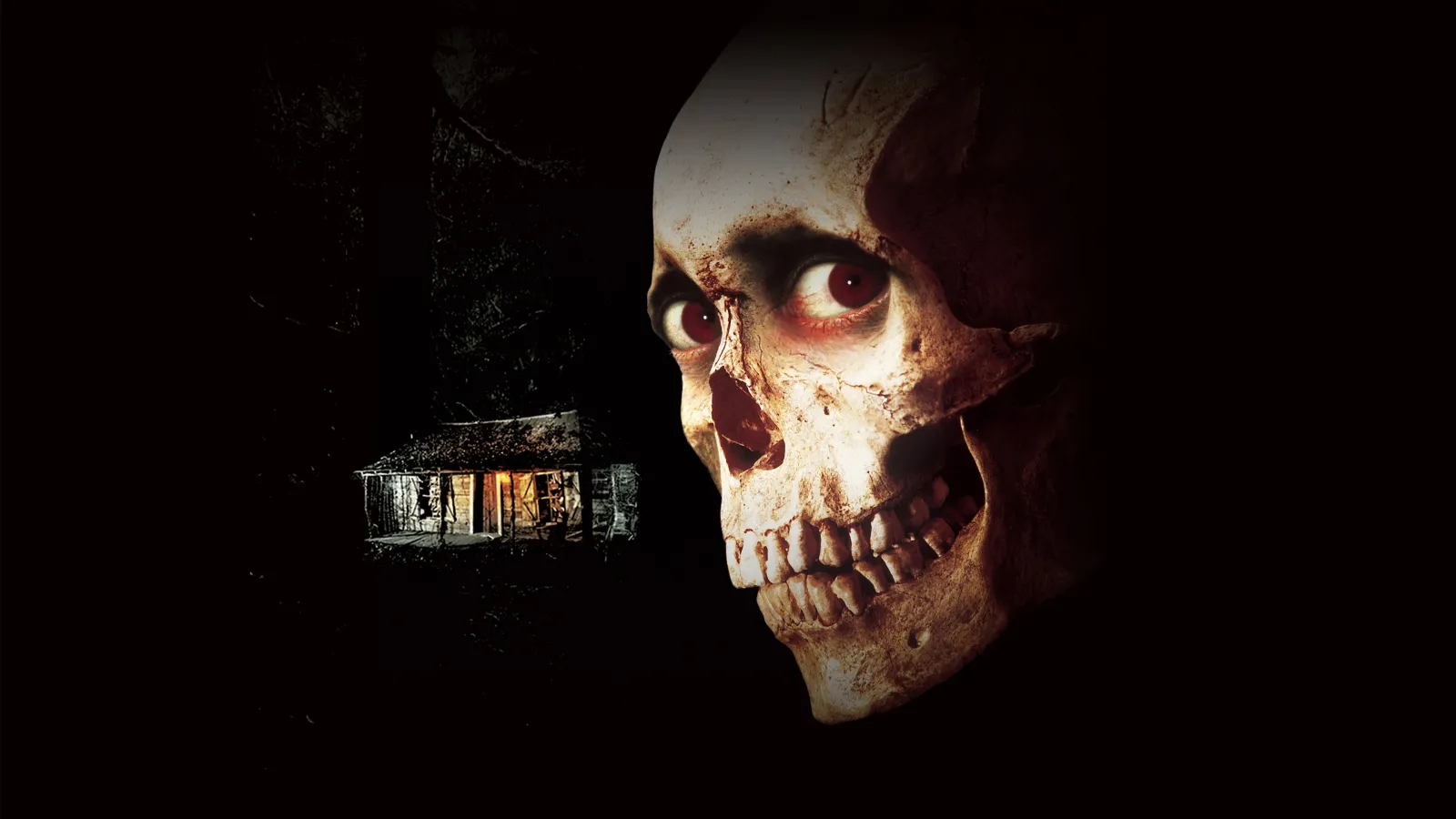 La casa 2 streaming ita