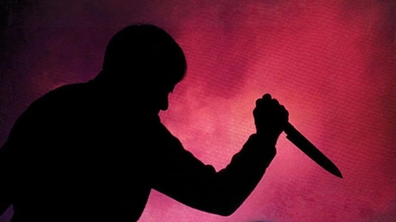 The Stepfather - Il patrigno streaming ita