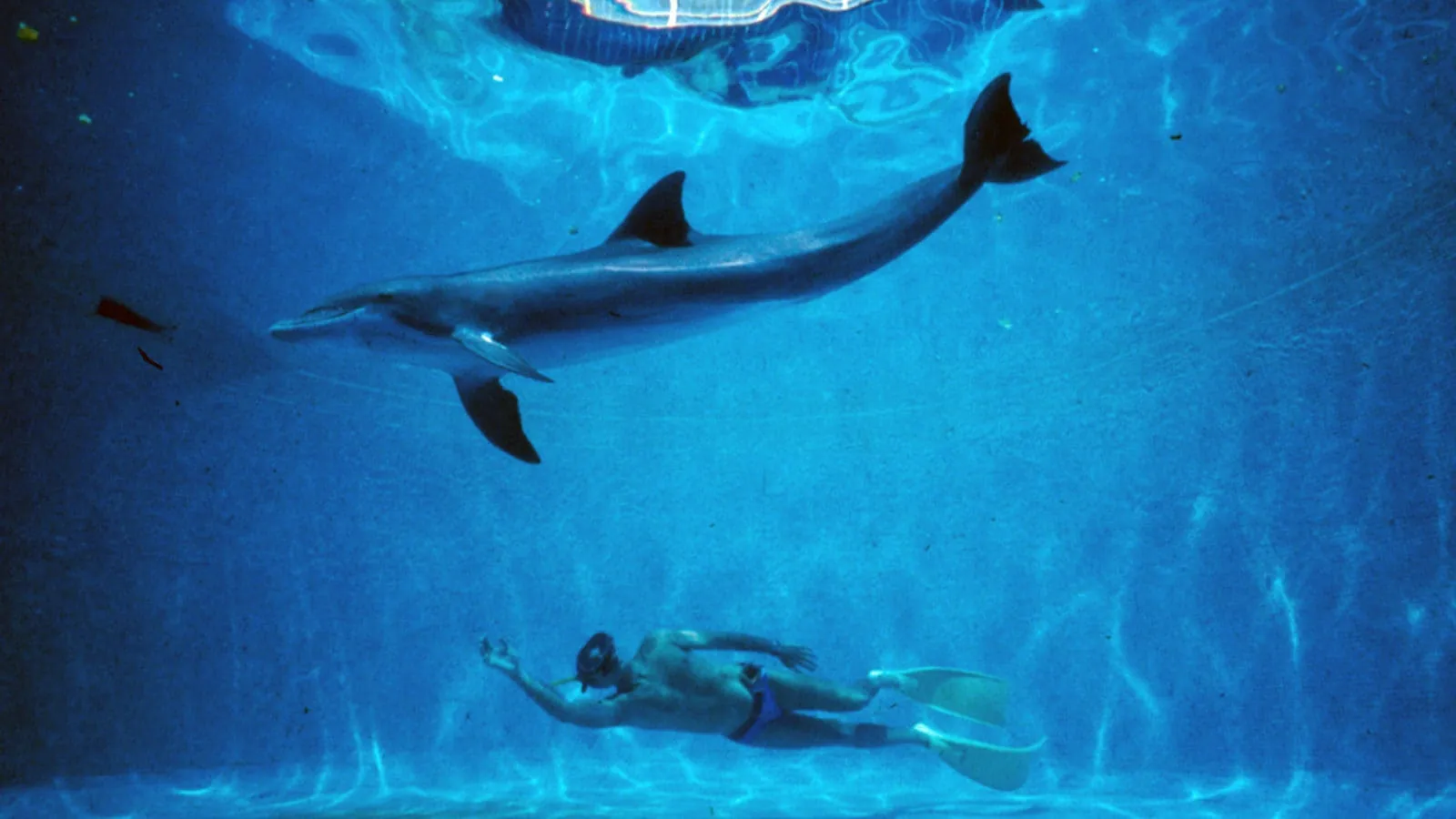 Le Grand Bleu streaming ita