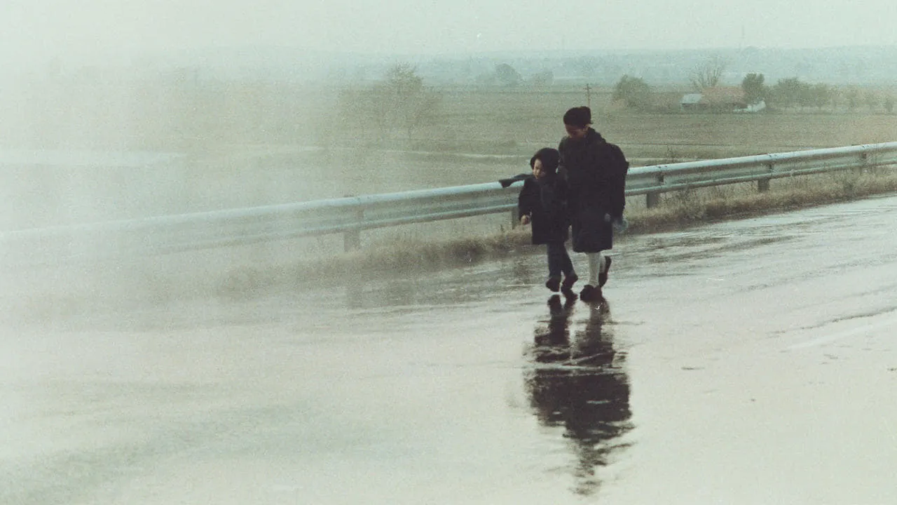 Paesaggio nella nebbia streaming ita