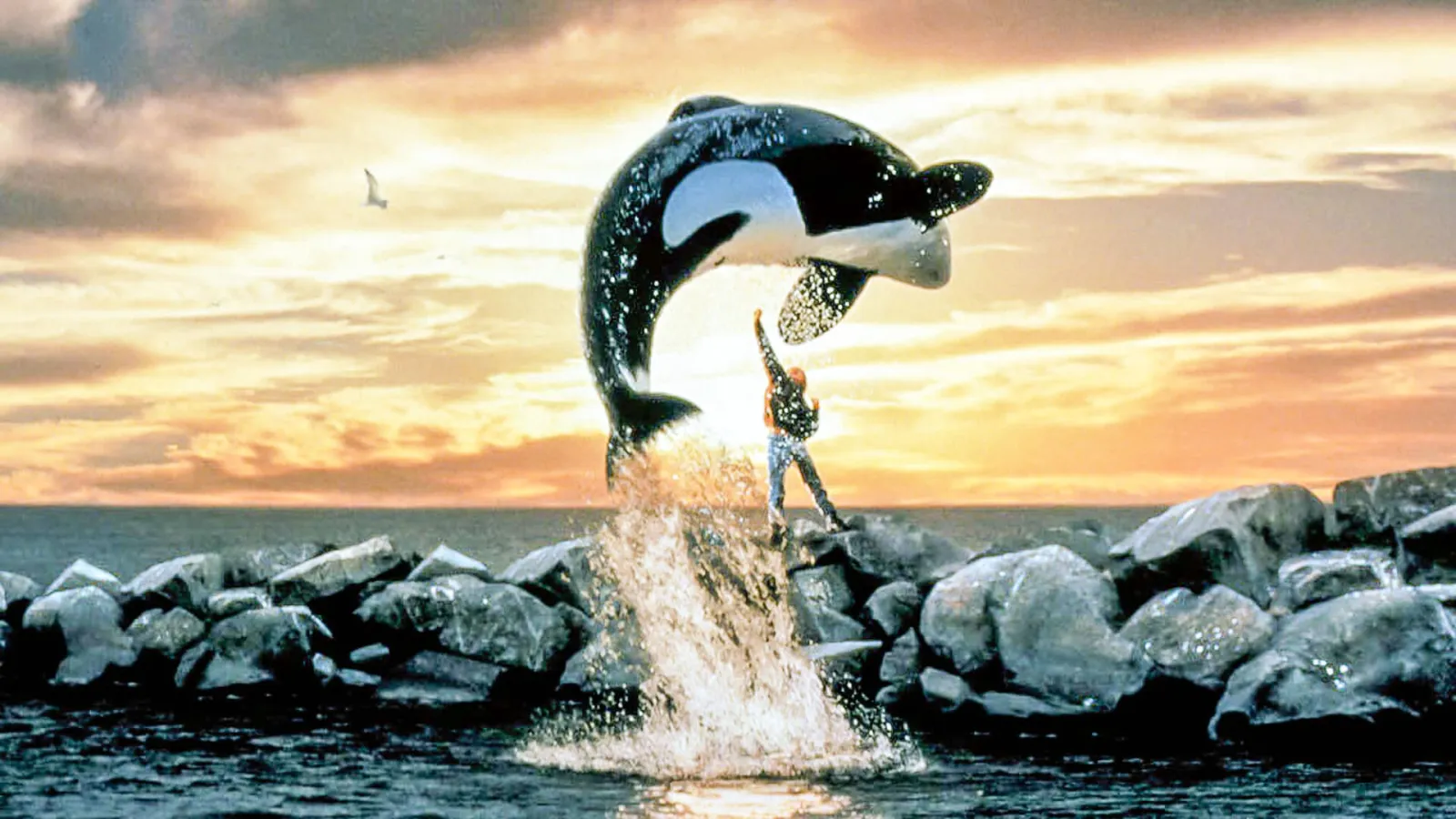 Free Willy - Un amico da salvare streaming ita