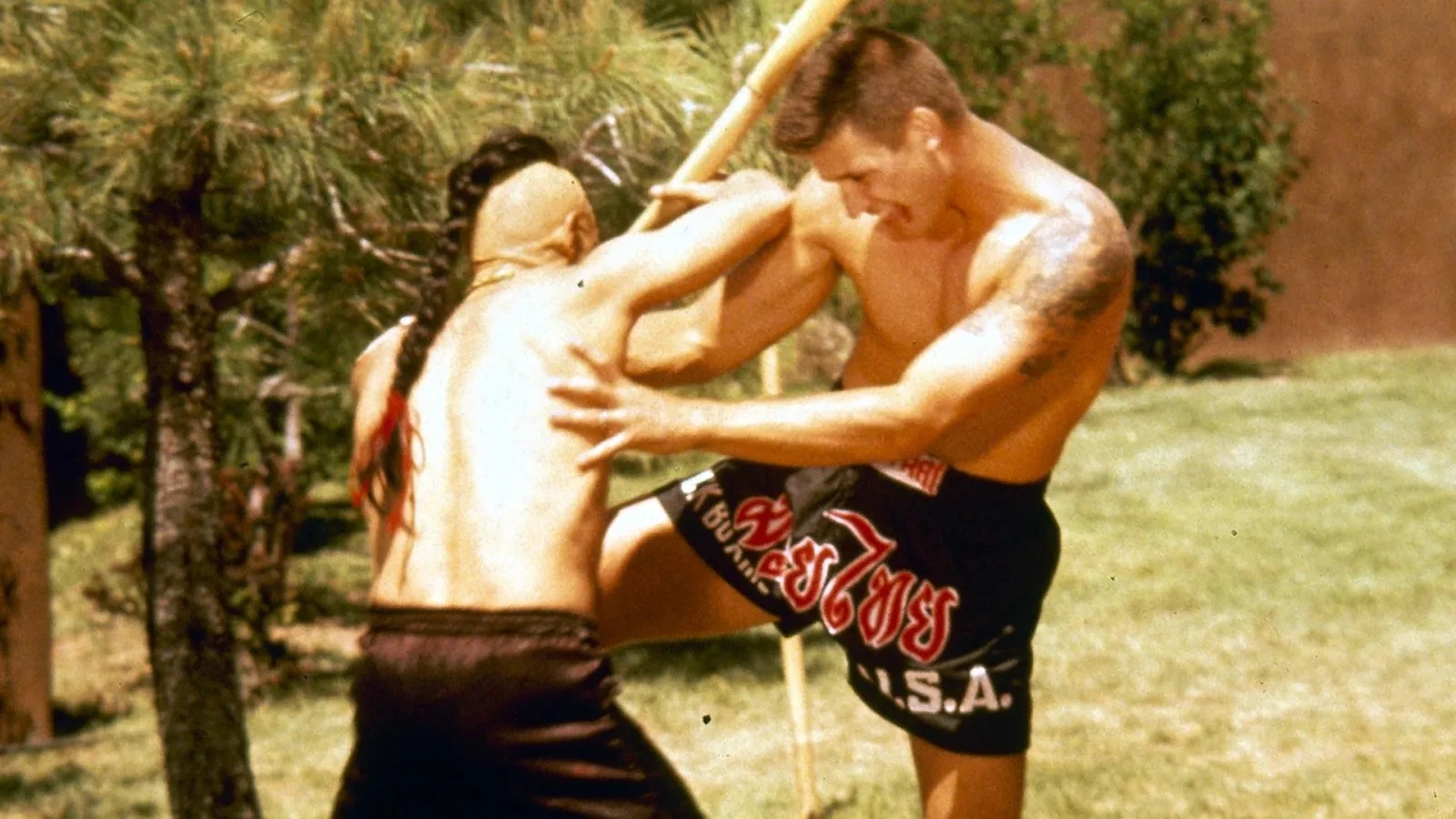 Kickboxer 4 - L'aggressore streaming ita
