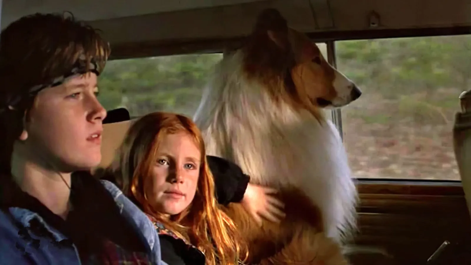 Lassie streaming ita