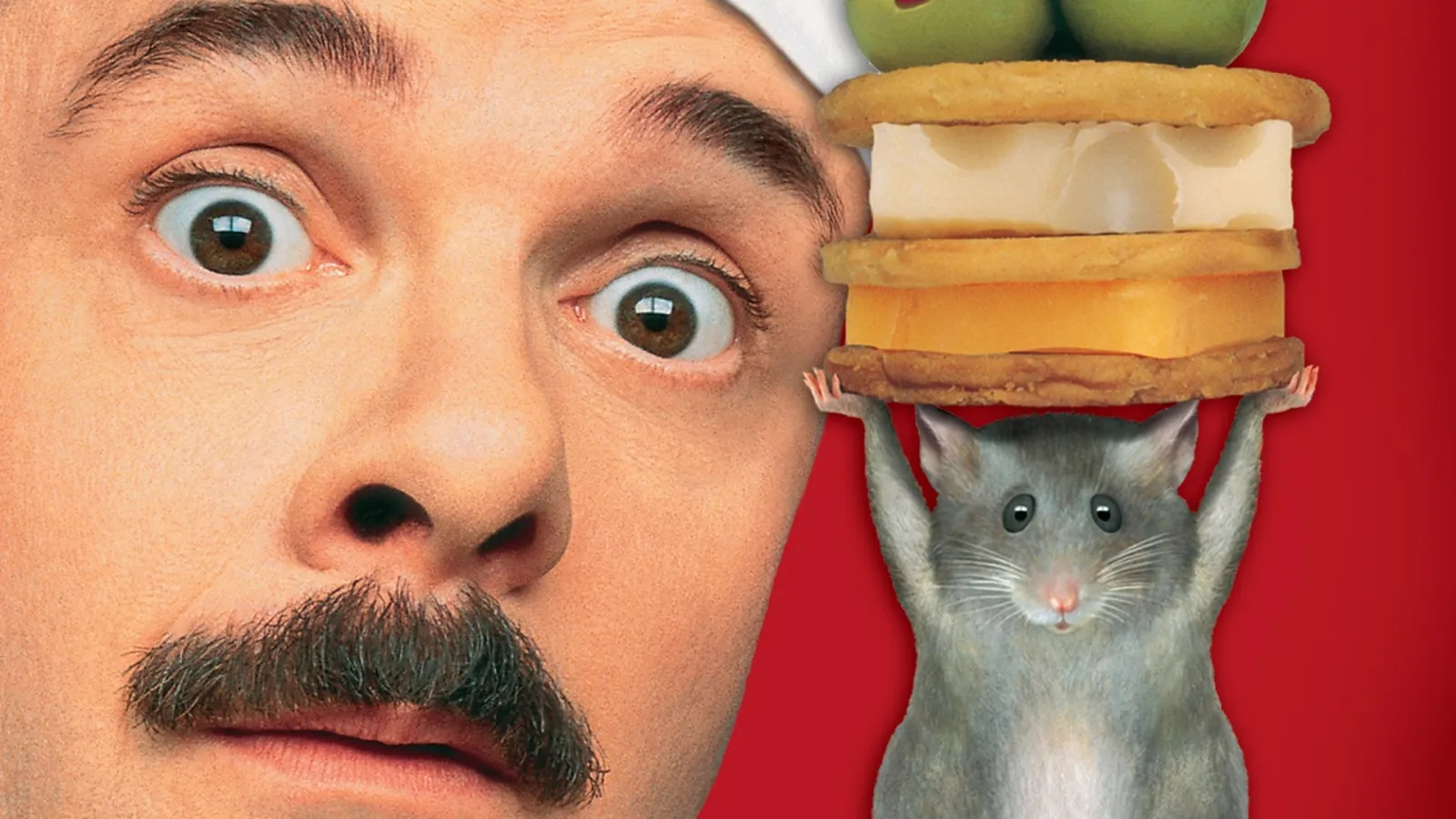Un topolino sotto sfratto streaming ita