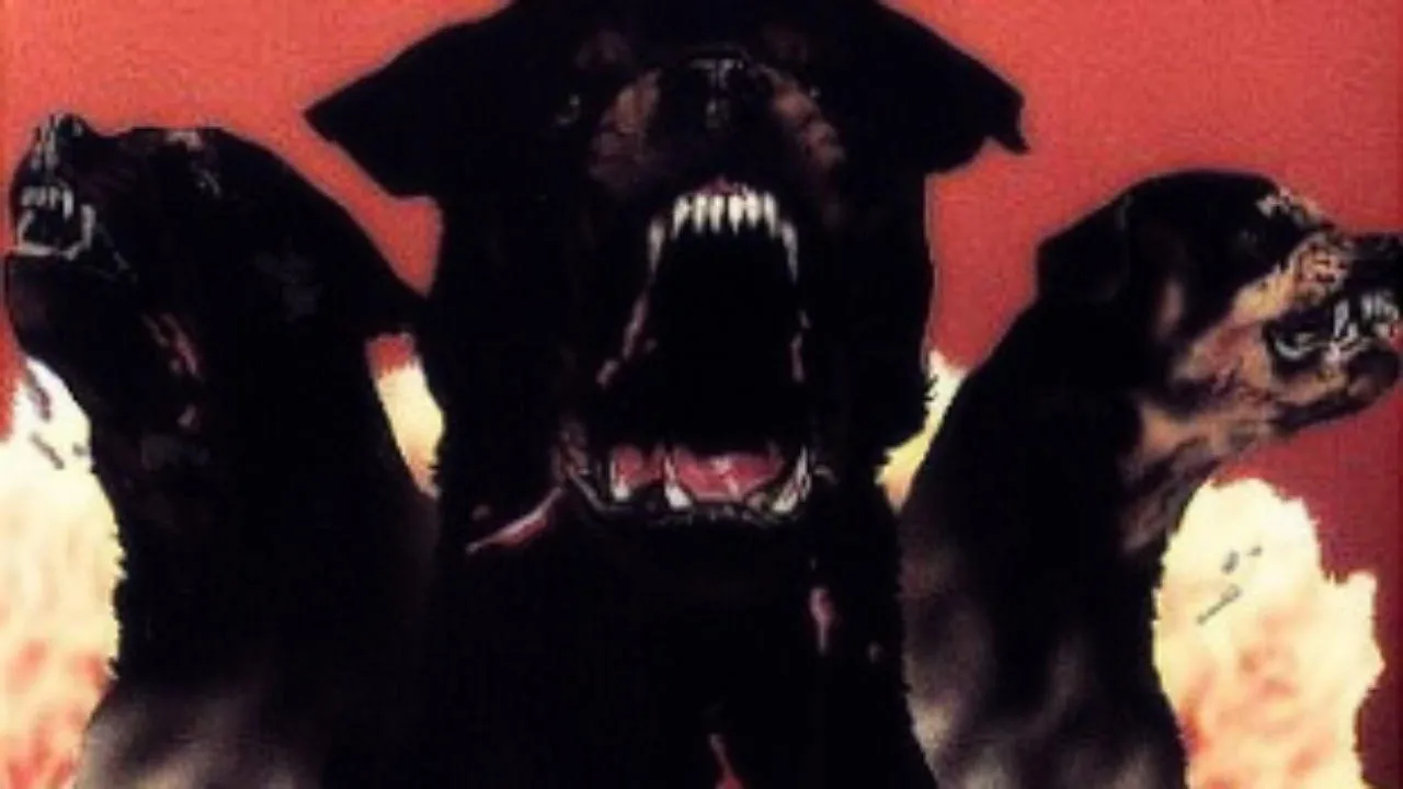 Rottweiler - Cani assassini streaming ita