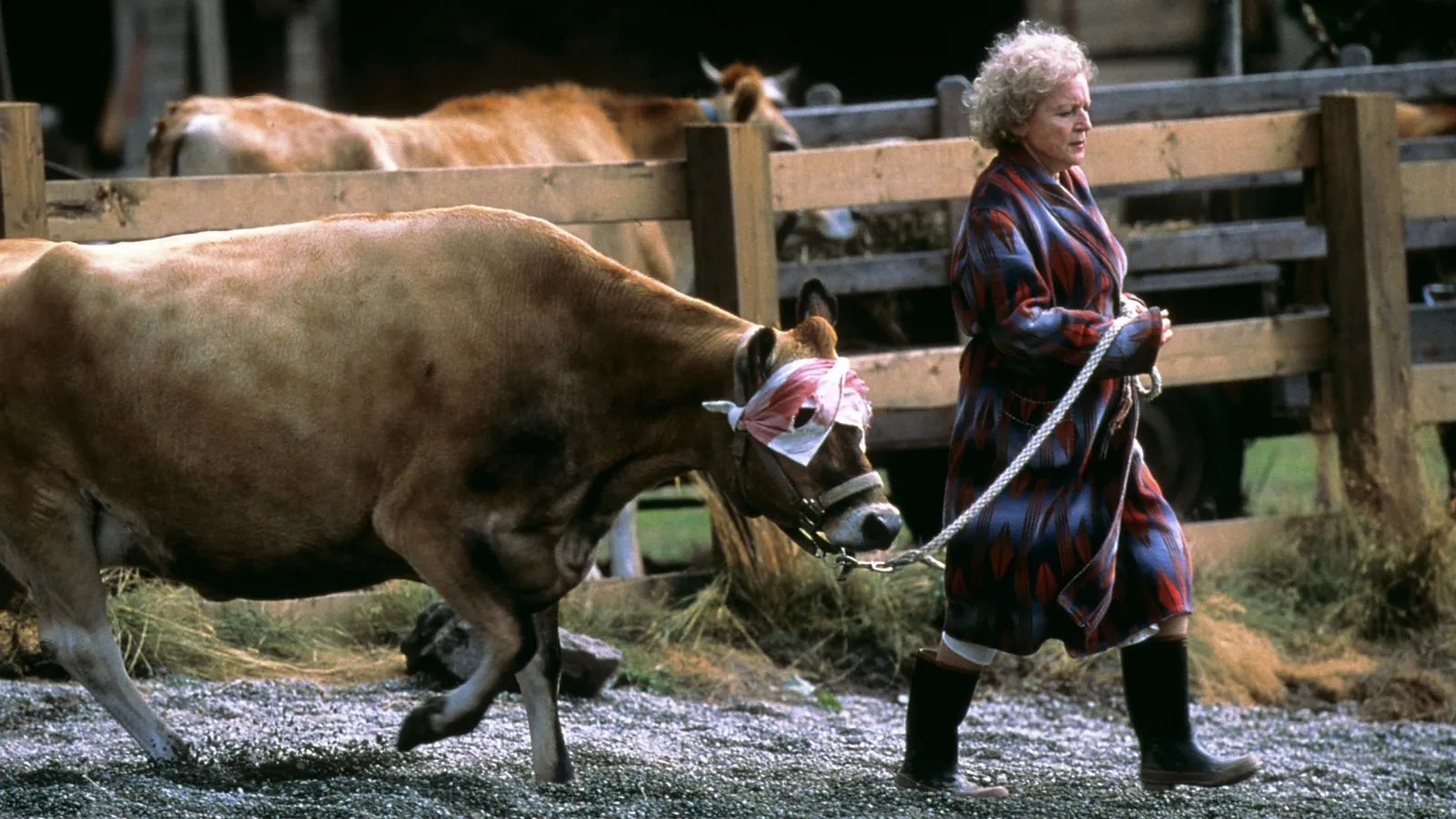 Lake Placid - Il terrore corre sul lago streaming ita