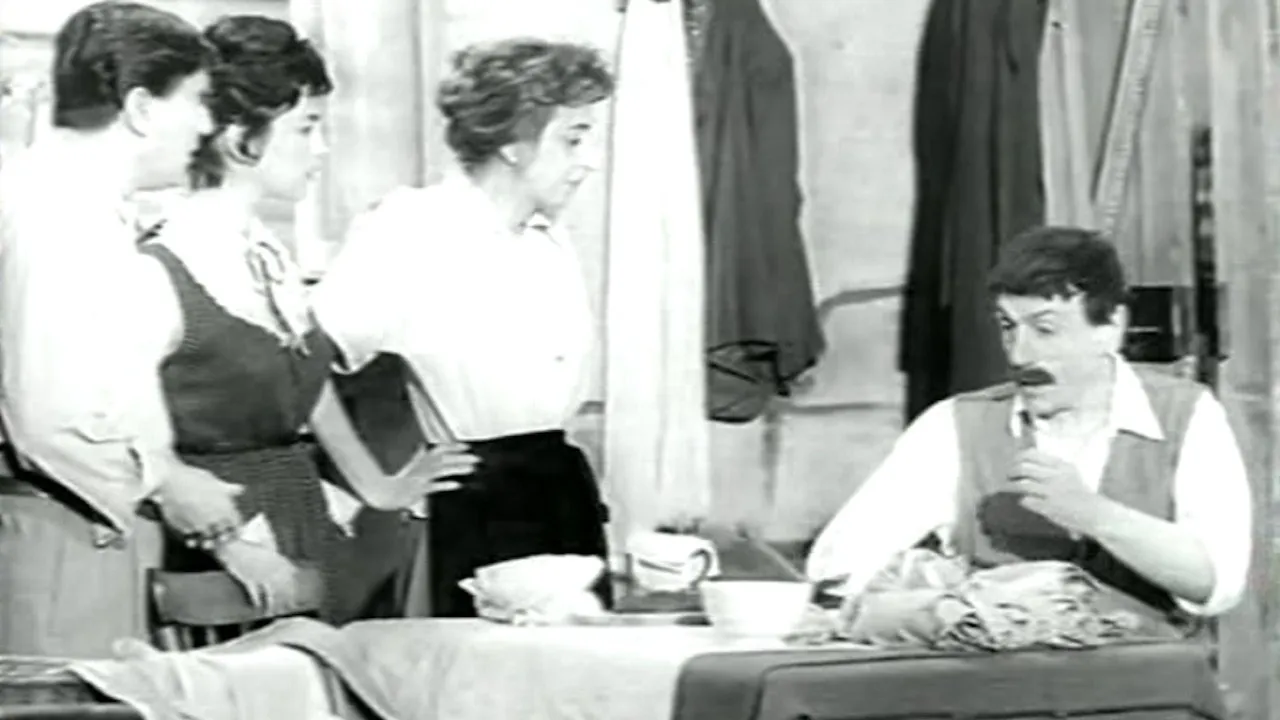 Sogno di una notte di mezza sbornia streaming ita
