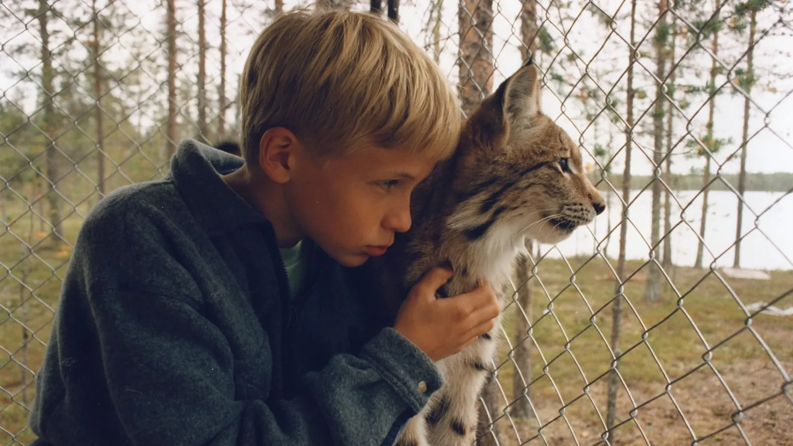 Tommy e la lince streaming ita