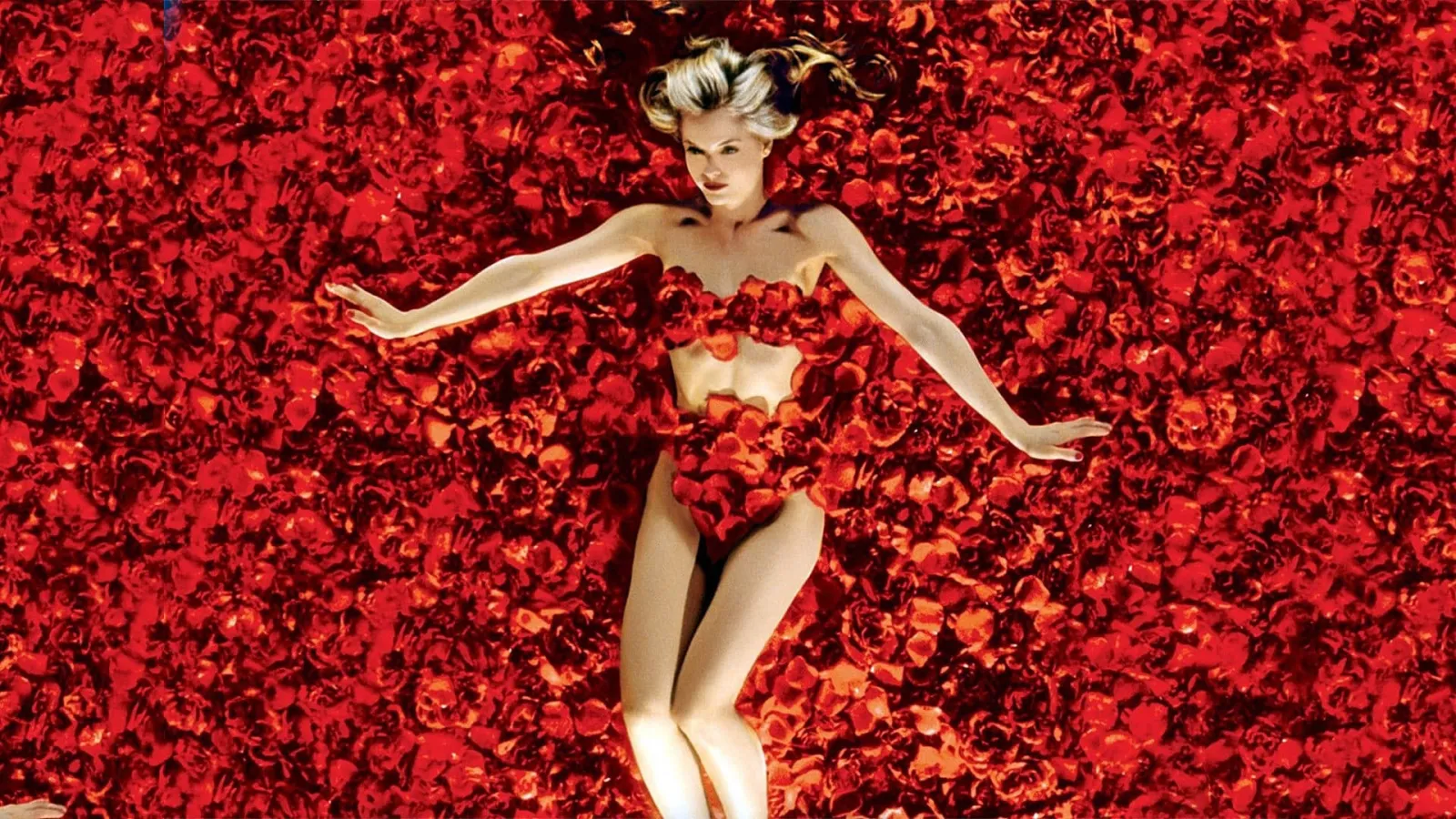American Beauty streaming ita