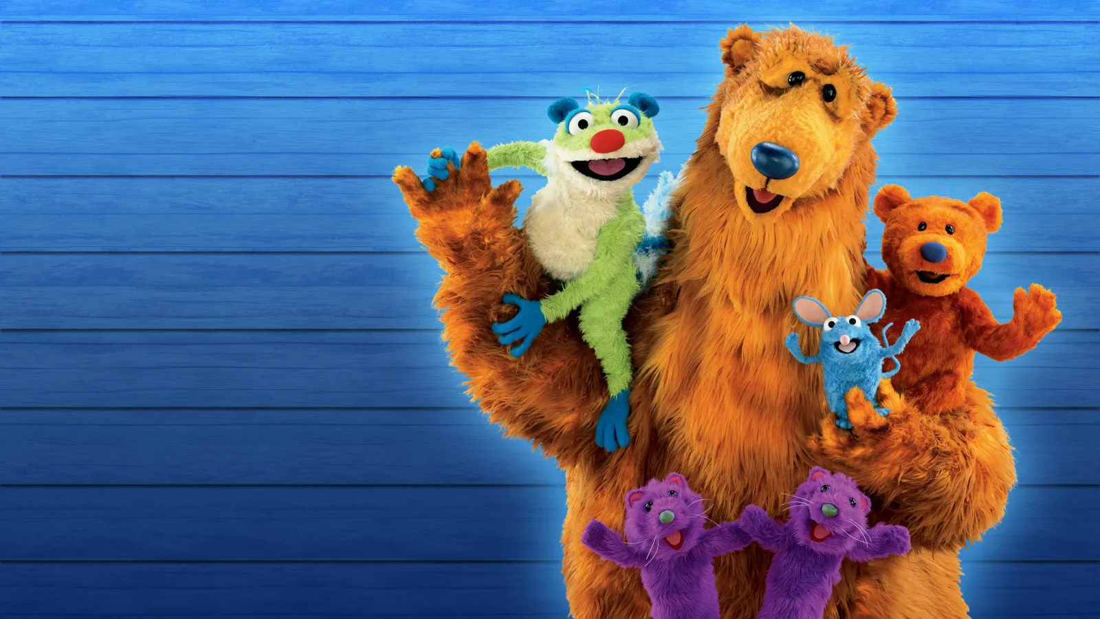 Bear nella grande casa blu streaming ita