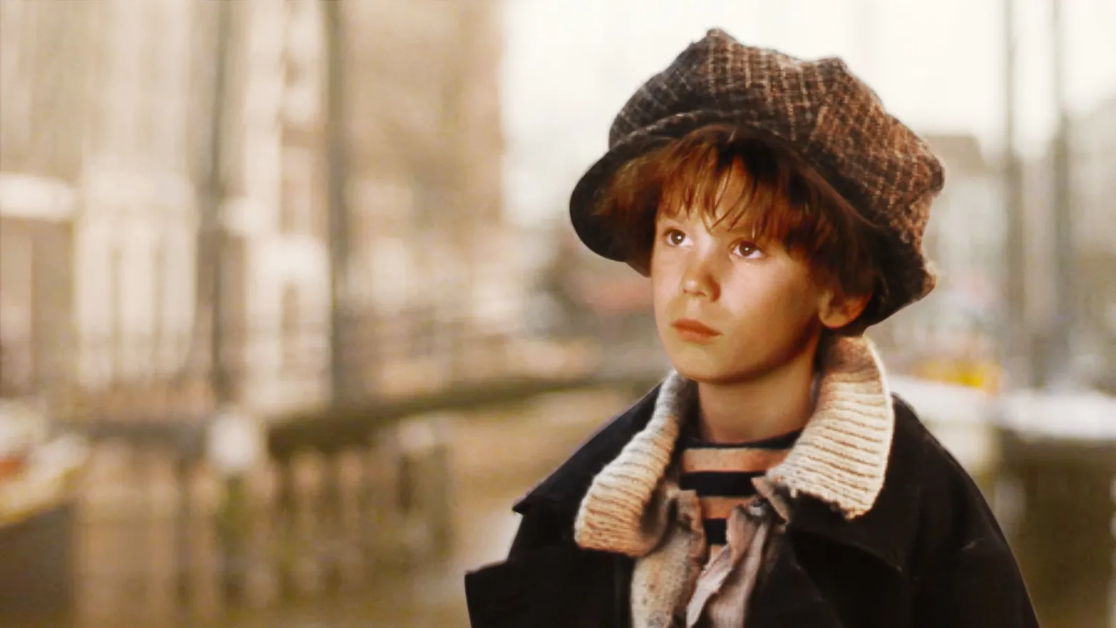 Il sogno di Crumb streaming ita