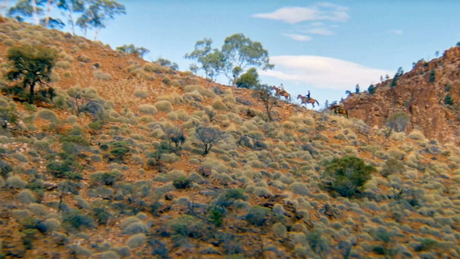 The Tracker - La Guida streaming ita