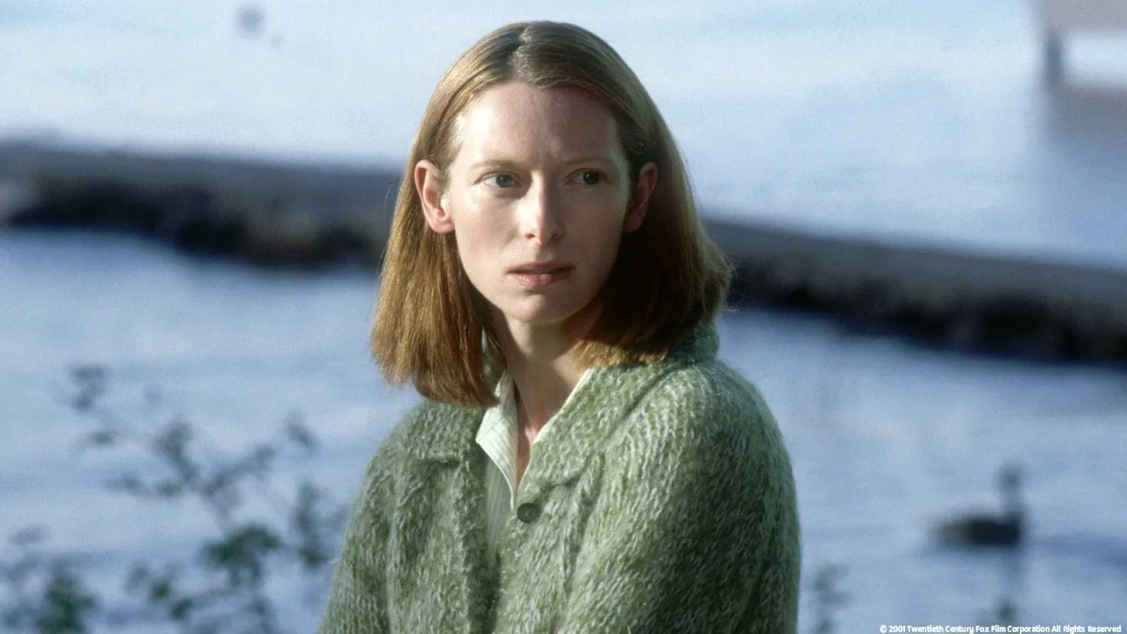 I segreti del lago streaming ita