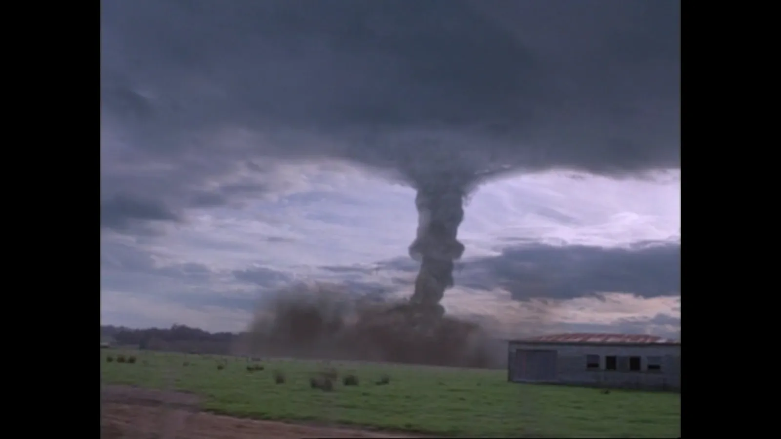 Twister 2 streaming ita