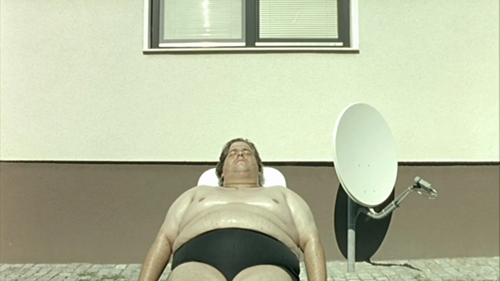 Canicola streaming ita
