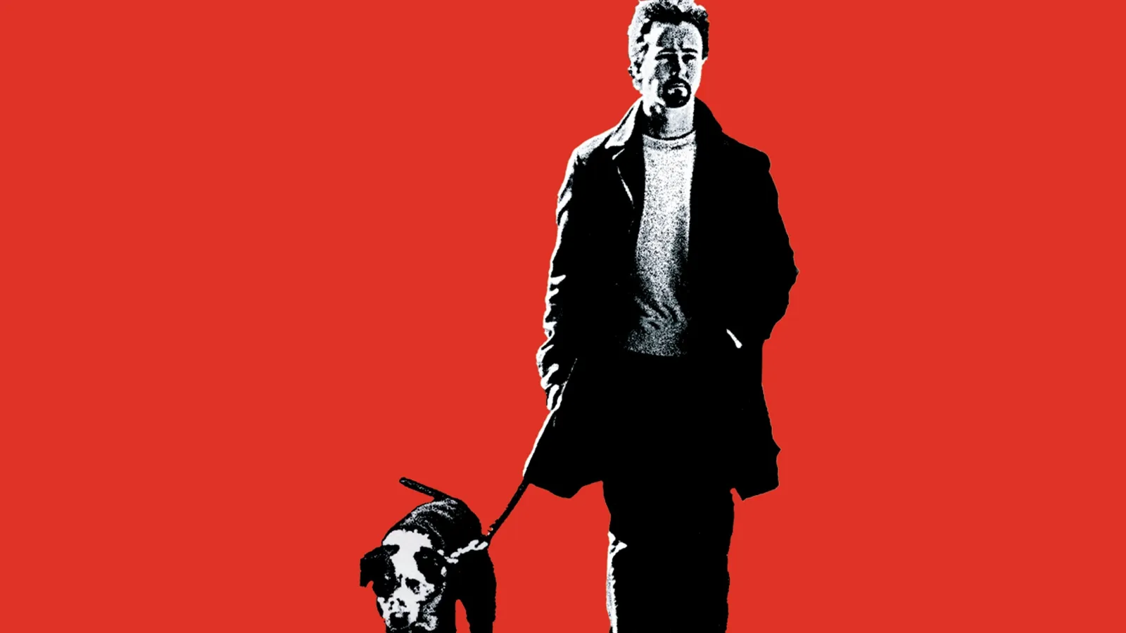 La 25ª ora streaming ita