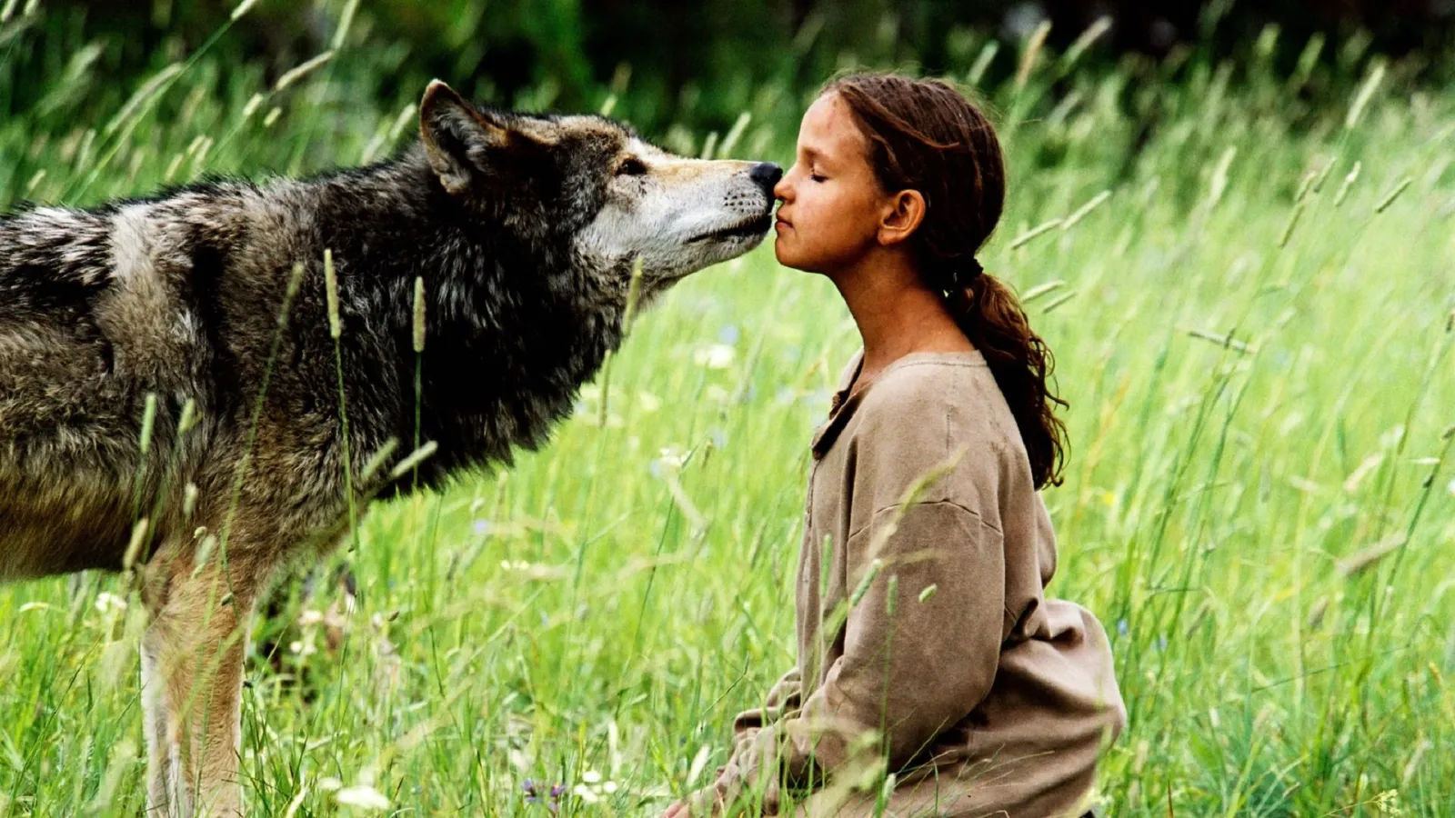 Un lupo per amico streaming ita