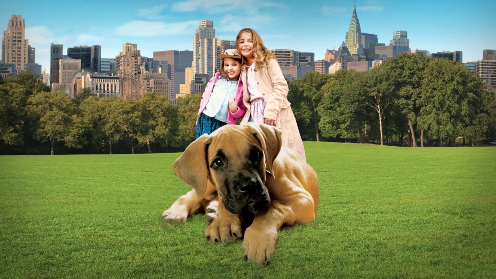 Chestnut - L'eroe di Central Park streaming ita