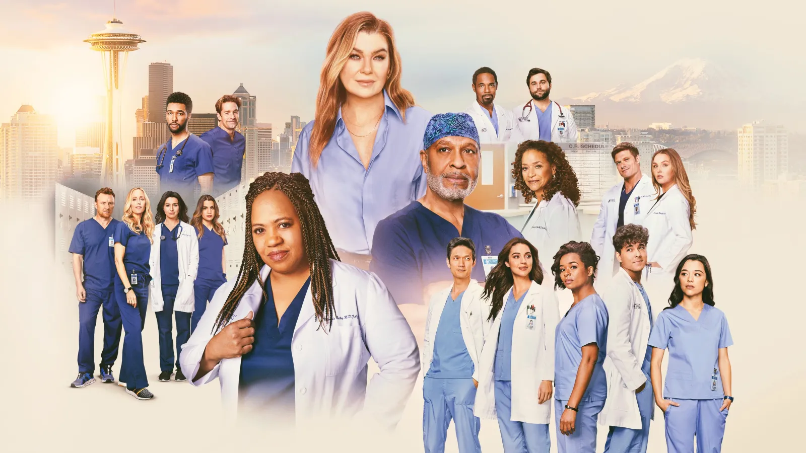 Grey's Anatomy streaming ita