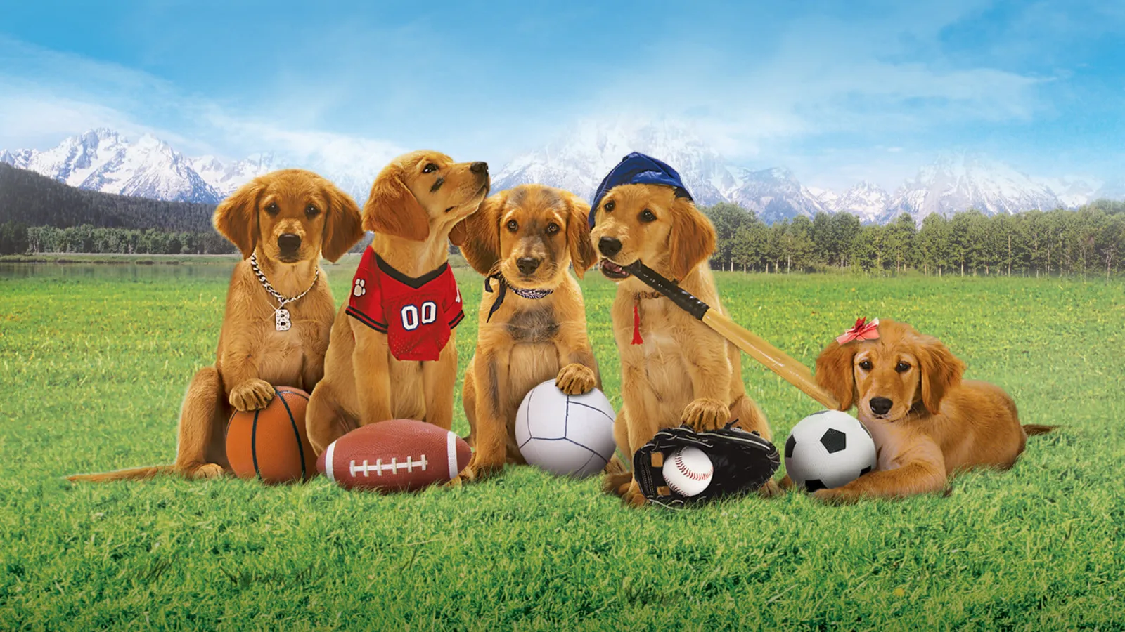 Air Buddies - Cuccioli alla riscossa streaming ita