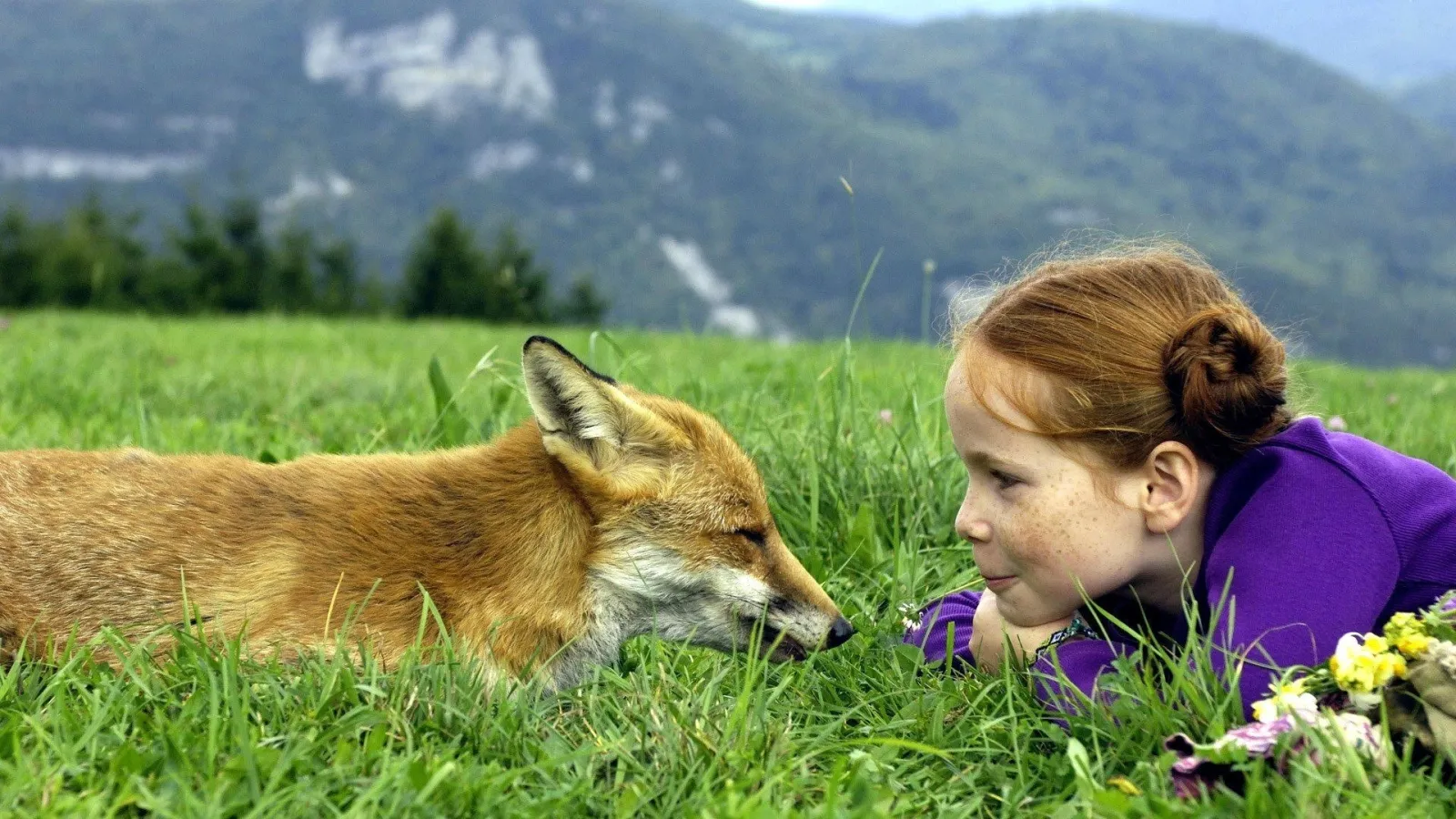 La volpe e la bambina streaming ita
